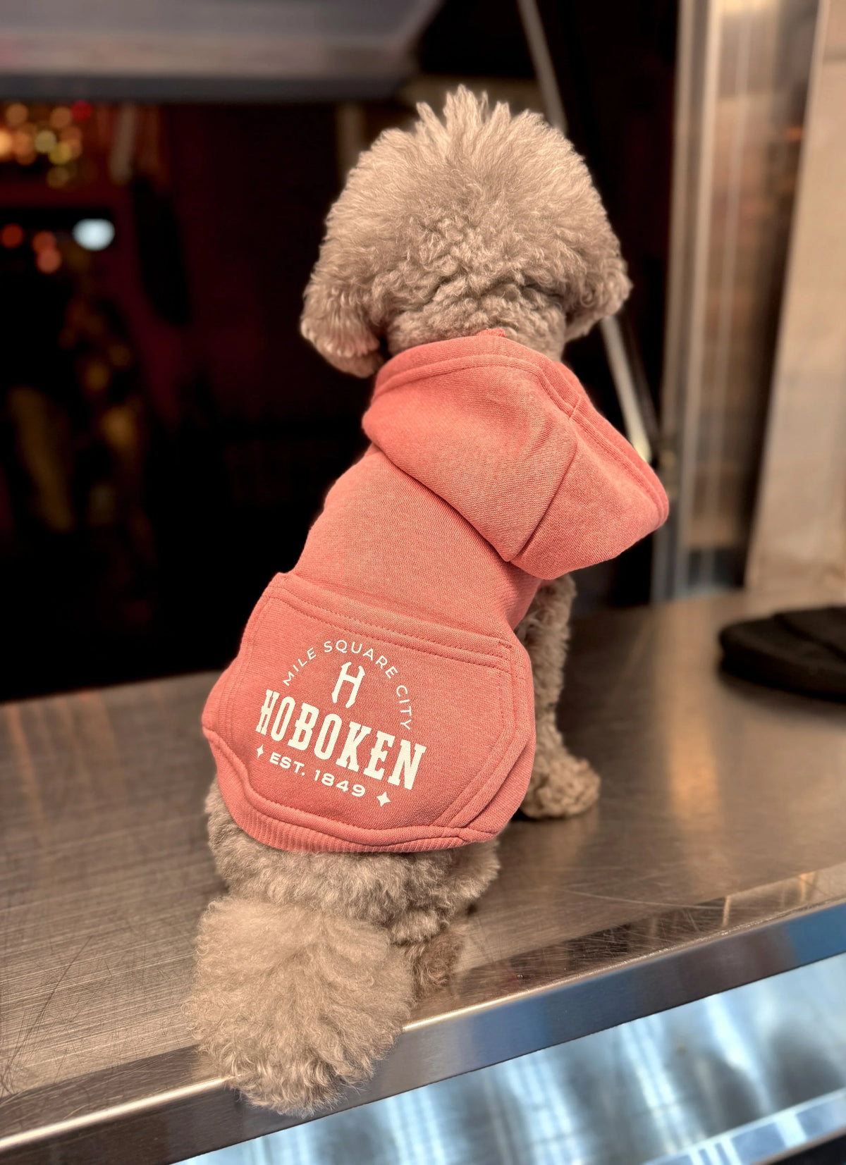 Hoboken Dog Hood