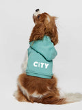 Jersey City Dog Hood